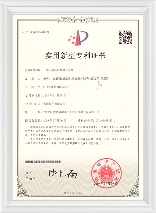 Xinguo Group Co., Ltd.